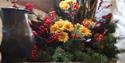 Window display 2018