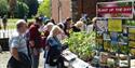 Plant fair featuring highly respected specialist nurseries