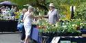 Plant fair featuring highly respected specialist nurseries