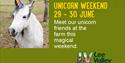 Unicorn Weekend at Lee Valley Park Farms.