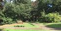 Trees at Spital Cemetery