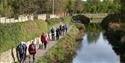 Walking on the Canal towpath