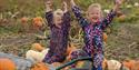 Children enjoying pumpkin picking