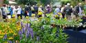 Plant Hunters' Fair at Henbury Hall Gardens