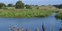 Avenue Washlands