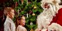 Two young children looking at Father Christmas in front of a Christmas Tree.