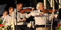 Orchestra members