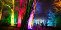 Christmas Trail at Killerton