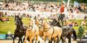 Bolesworth International,equestrian,competiton,family day out
