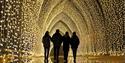 Archway of Christmas lights