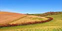 A Dorset field that's just been harvested