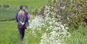 Chesterfield Canal Walking Festival