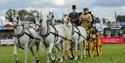 horse drawn carriage with its riders in traditional dress