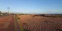 Eastney Beach Clean