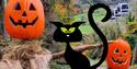 Following the success of our witches grotto last year, the FRIGHTS OF ABRAHAM returns to Masson Hill this October half term with a brand new Halloween