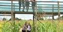 People on a bridge pointing