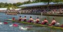 Rowers at Henley Royal Regatta