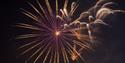 Bonfire Night on The Forest