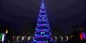 The Festival of Light at Christmas 2019