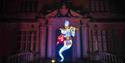 Magic at Longleat Festival of Light