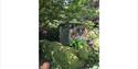 Totley Open Gardens