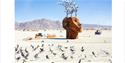 The Flybrary by Christina Sporrong & Murder Inc  by Charles Gadeken, Photo Tex Allen