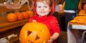 Little-Boy-with-pumpkin