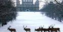 Wollaton Hall in the snow