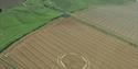 Crop Circle (C) Janet Ossenbaard