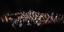 Isle of Wight Steam Railway, IWSO Proms, Orchestra image
