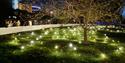 A grassy area with twinkling lights mimicking fireflies