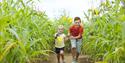 Kids running in the maze