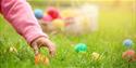 Easter eggs hidden in the grass