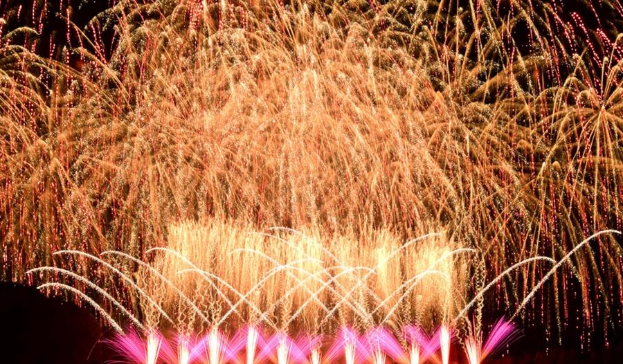 Festival Of Fireworks at Catton Hall