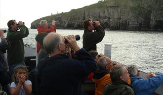 Events at Durlston Country Park: Seabird Boat Trip
