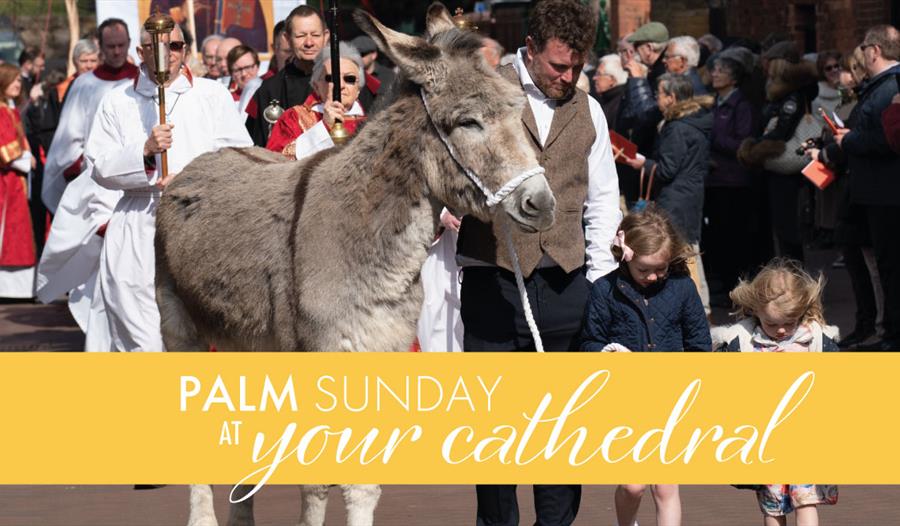 Palm Sunday at Your Cathedral