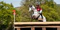 Grey horse and rider on cross country course at Chatsworth Horse Trials