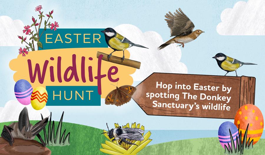 illustrated wildlife with coloured easter eggs set on green hills