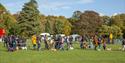 Pawsby Dog Show at Thoresby Park | Visit Nottinghamshire