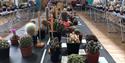 A selection of cacti at the BCSS Portsmouth Show