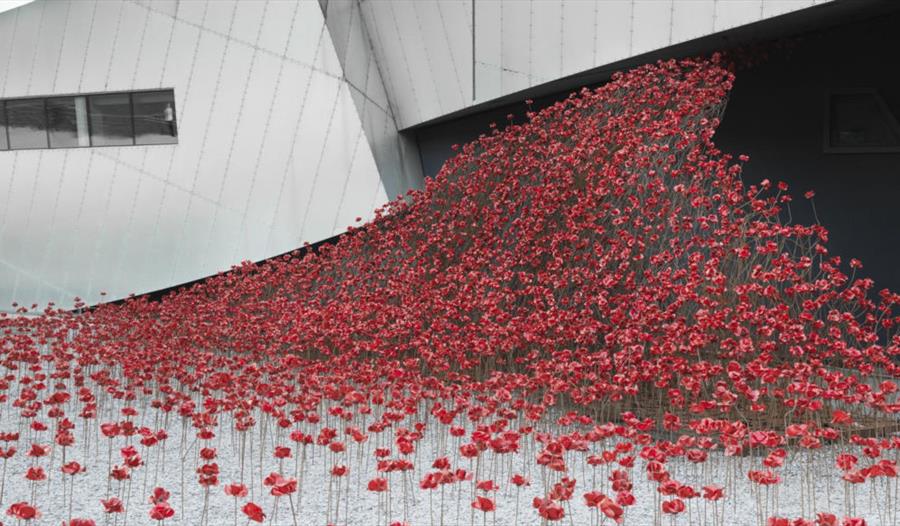 Poppies display at the Imperial War Museum North