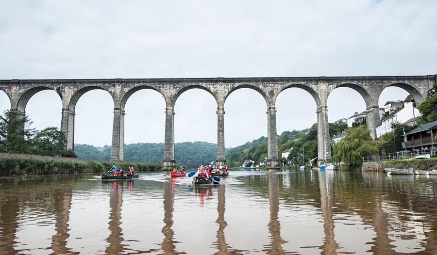 Guided Family Canoe Trips on the River Tamar from Cotehele Quay