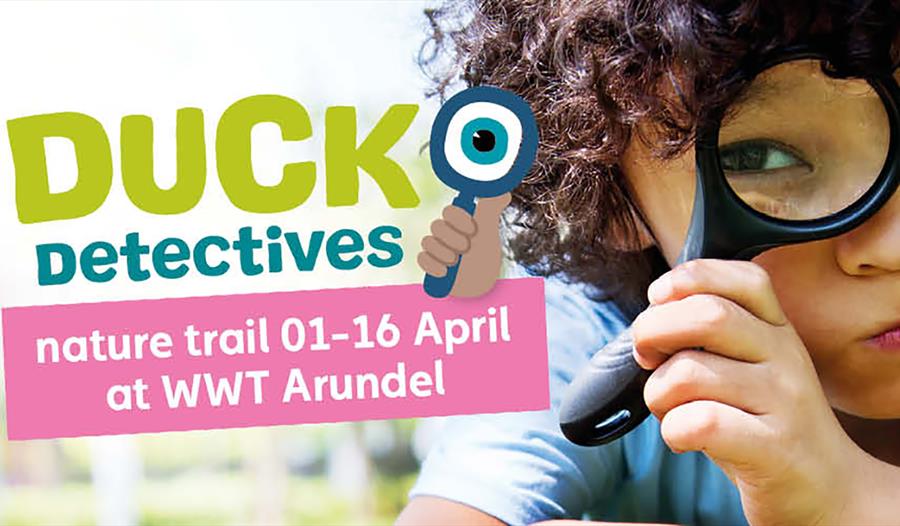 Duck Detectives Trail at WWT Arundel Wetland Centre