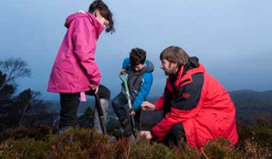 Tree Planting at Woolacombe (National Trust)