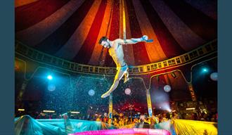 Spiegeltent Christmas Party
