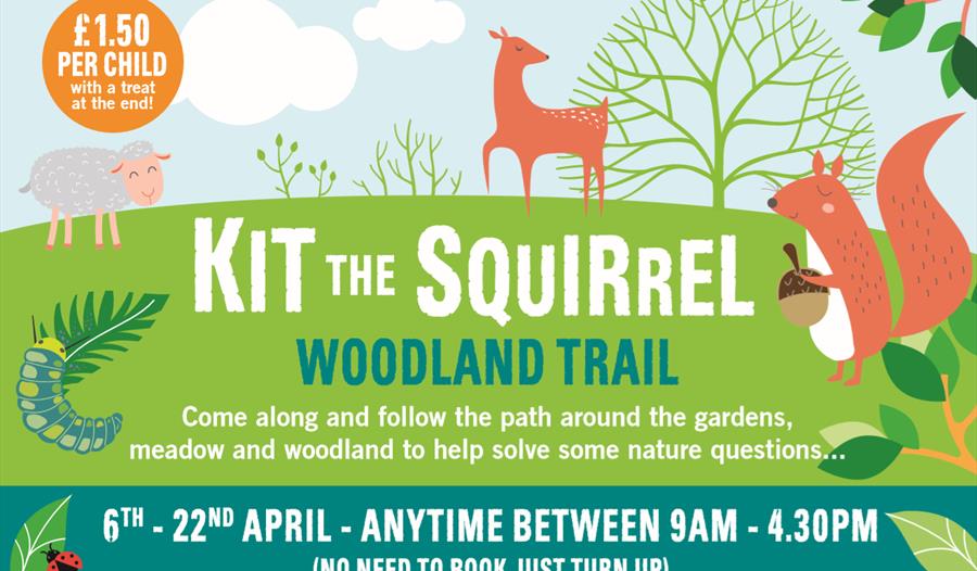 Kit the Squirrel Woodland Trail