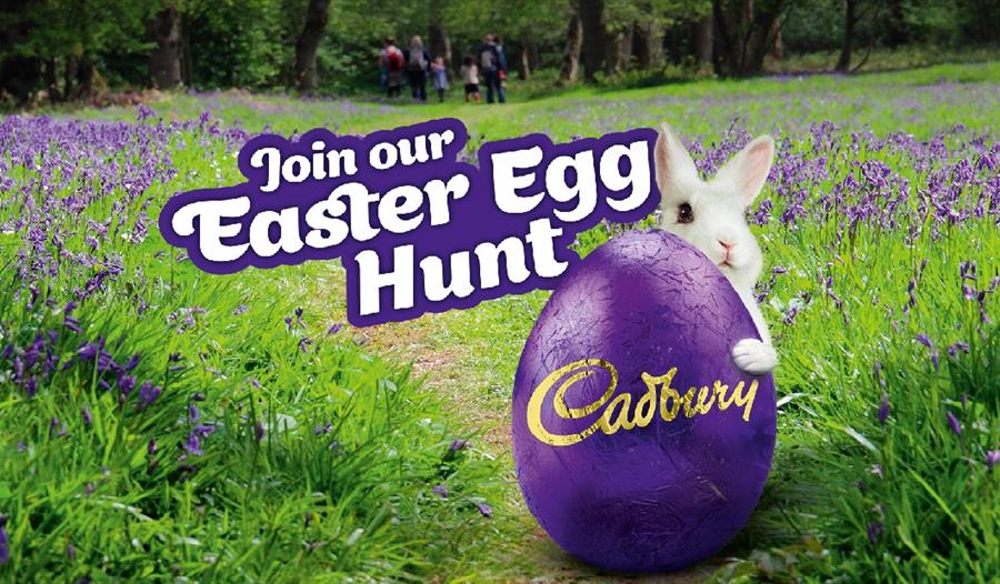 Cadbury Easter Egg Hunt