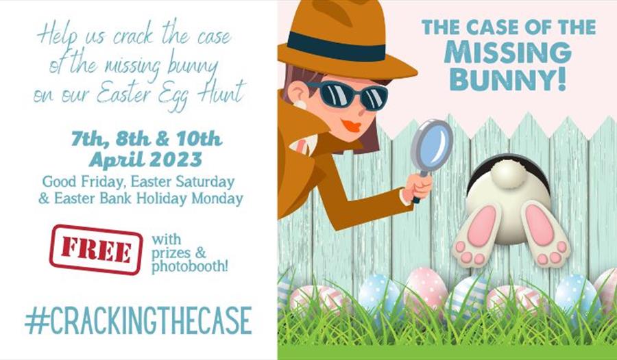The Case Of The Missing Bunny