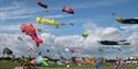 Photograph of kites in the air above Southsea Common for the Portsmouth International Kite Festival
