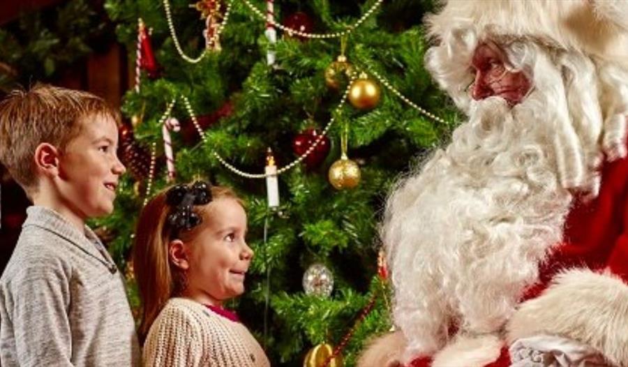 Two young children looking at Father Christmas in front of a Christmas Tree.